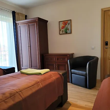 Chalet Rex * دروسكينينكاي